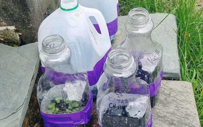 containers-sk-via-flicker-cc-by-nd examples of plastic "all-in-one" containers