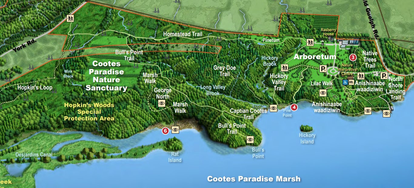 Map of Cootes Paradise North Shore trail system