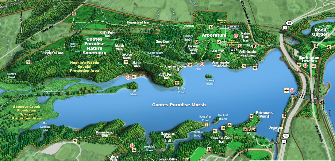 detail of the cootes paradise trail property map