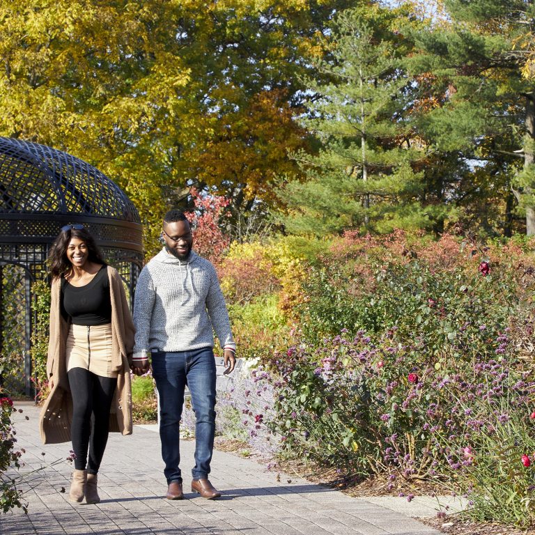 couple walking along rose garden path in fall