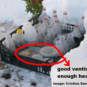 cristina-sanvito-CC BY 2.0 container-problems Soil mix too shallow? Ventilation– not much space between soil and lid