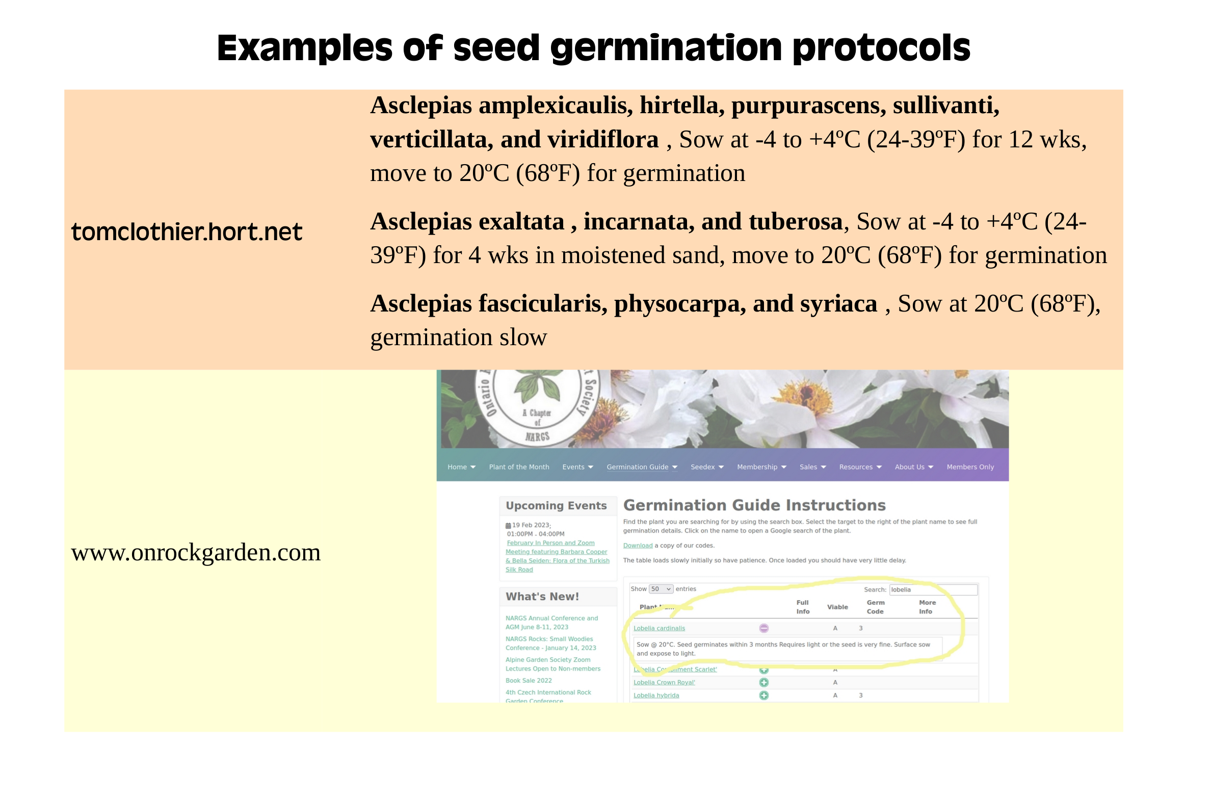 Examples of seed germination protocols infographic