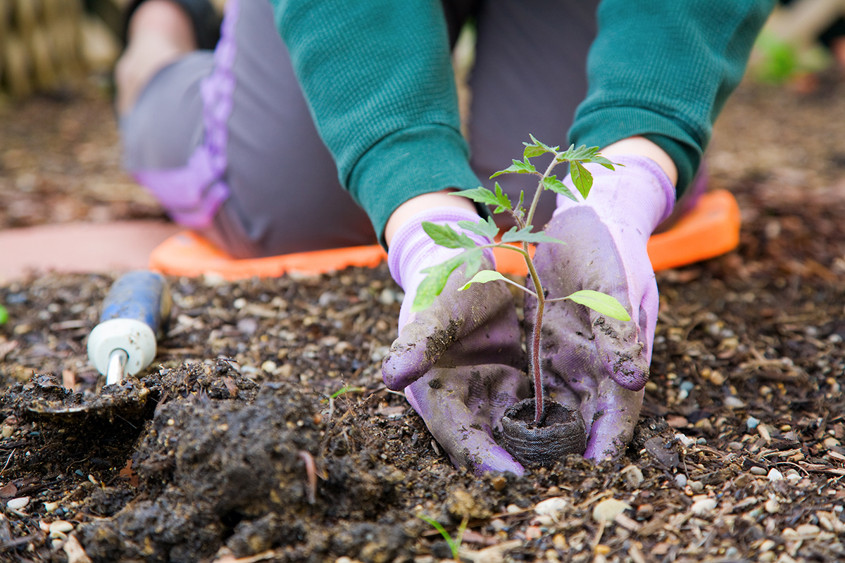 Courses & Workshops in Burlington & Hamilton