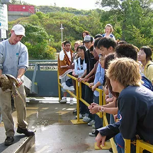 High School Group At Fishway Watching Turtle
