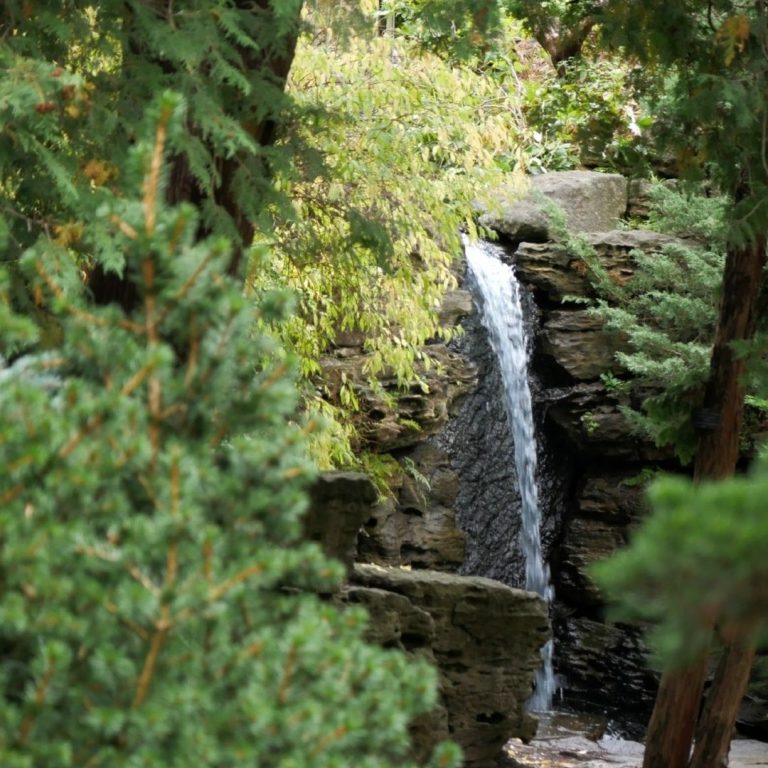 Rock Garden waterfall