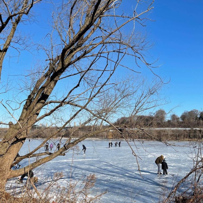 Groups of people spread out on the frozen marsh