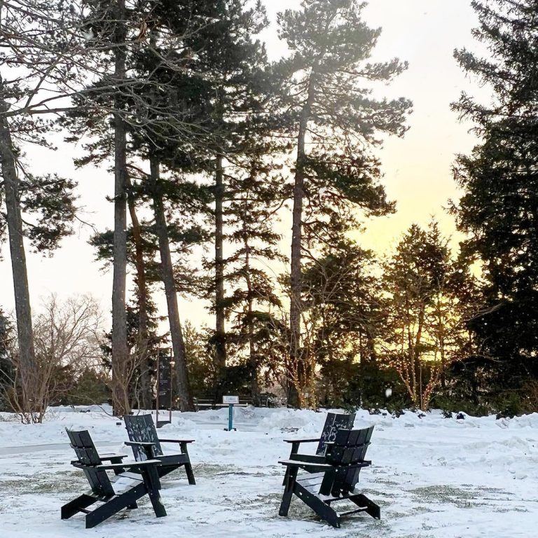 Snow covered muskoka chairs on the upper terrace of the rock garden