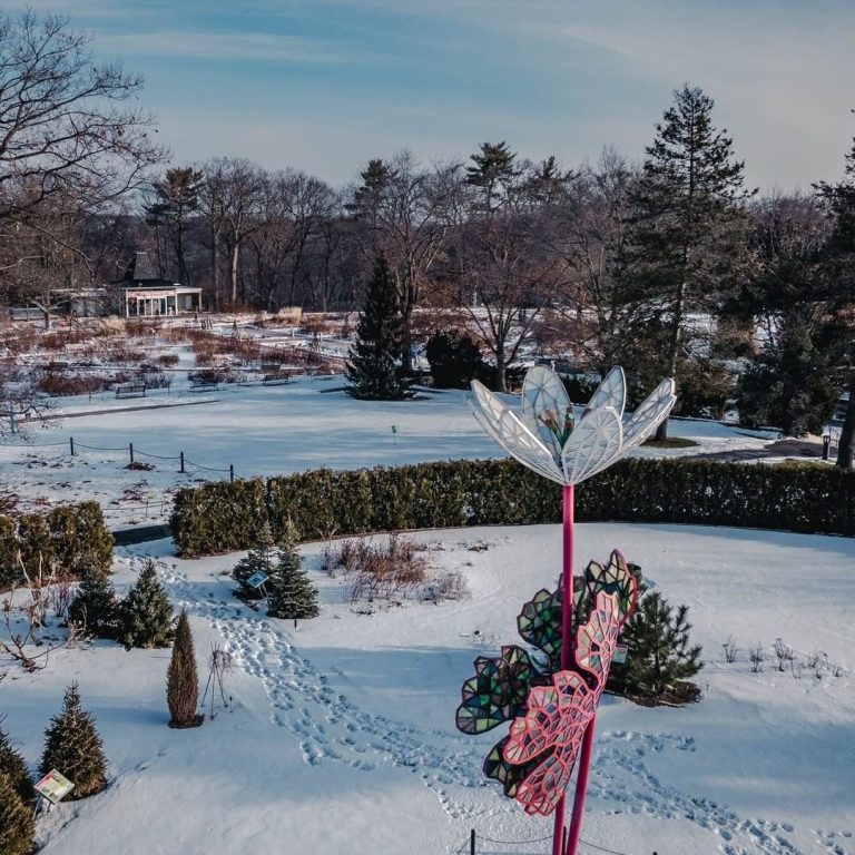 Aerial photo over the bloodroot sculpture in the snow covered Hendrie Park Gardens