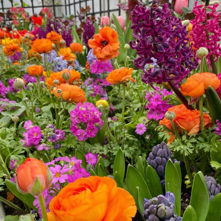 Mix of orange, bright and soft pink spring flowers in an indoor display