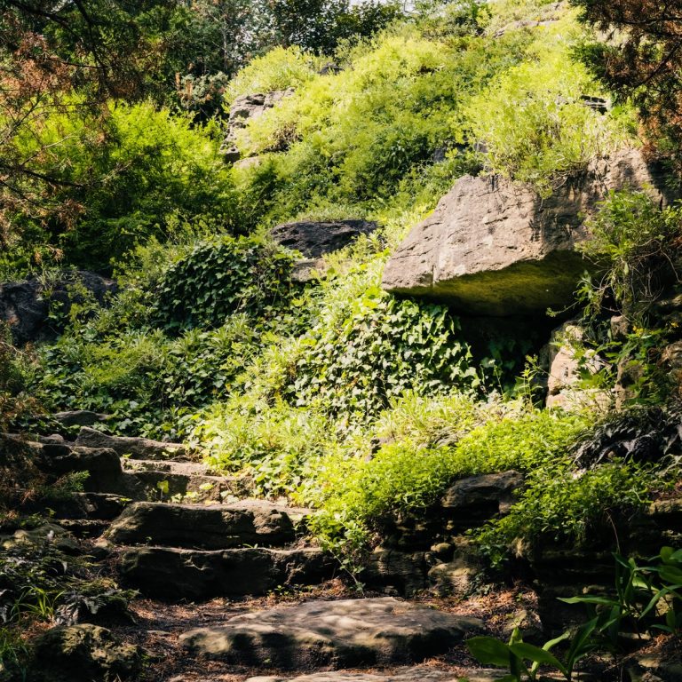 stone staircase winding through the lush green rock garden