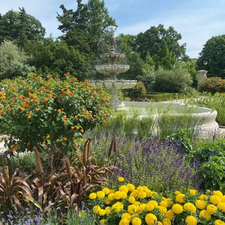 stone water fountain surrounded by bright coloured plants and flowers
