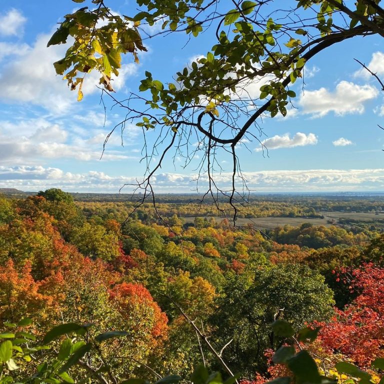 Lookout from Escarpment trail to view of trees full of autumn colours