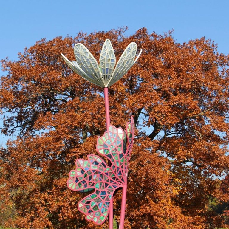Bloodroot sculpture framed by the tall heritage oak tree in the background with burnt orange leaves