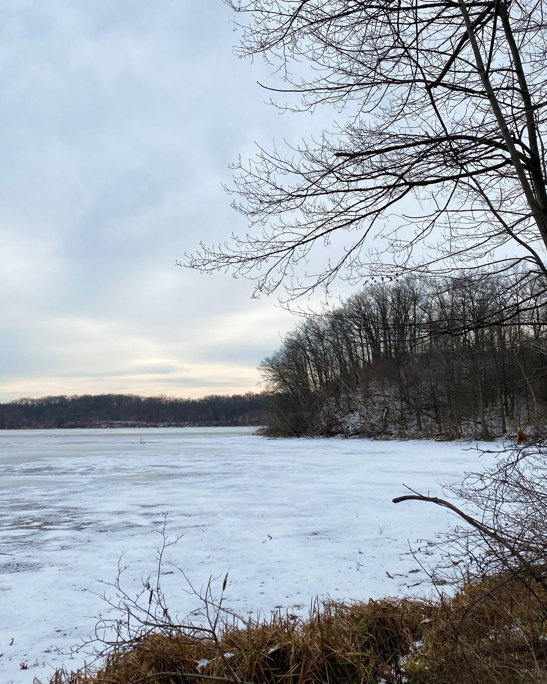 Cootes Paradise Frozen - Anishinaabe Trail frozen bay of Cootes Paradise