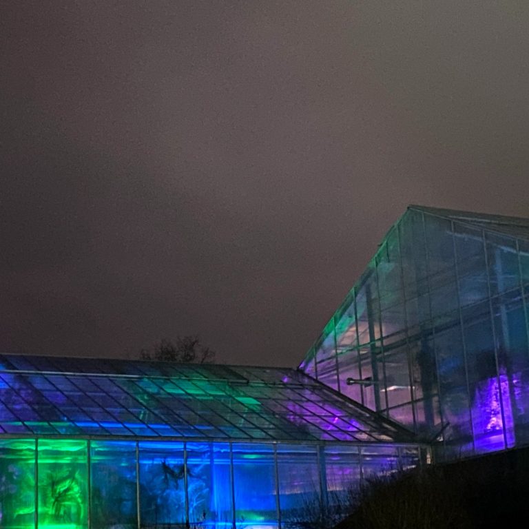 Exterior view of the Mediterranean Garden Greenhouse illuminated from the inside with green, blue, and purple lights