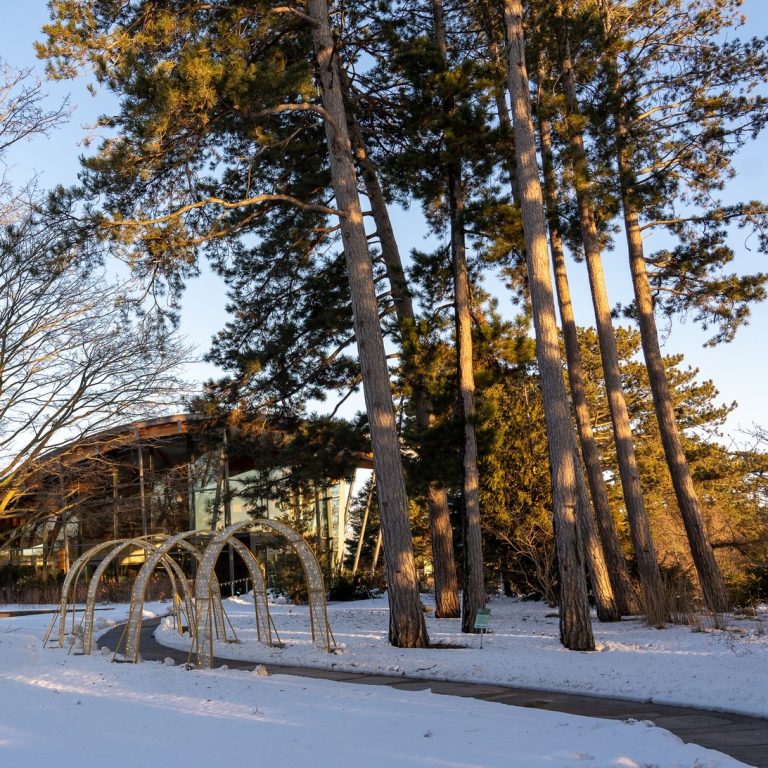 sun setting on the upper terrace of Rock Gaden with the Visitor Centre in the background.