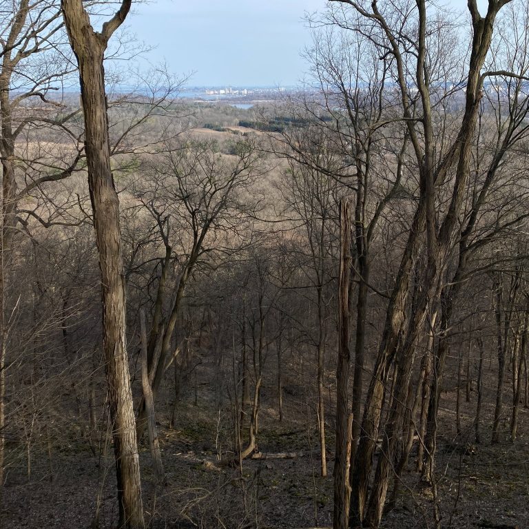 View from the escarpment trail out to Lake Ontario