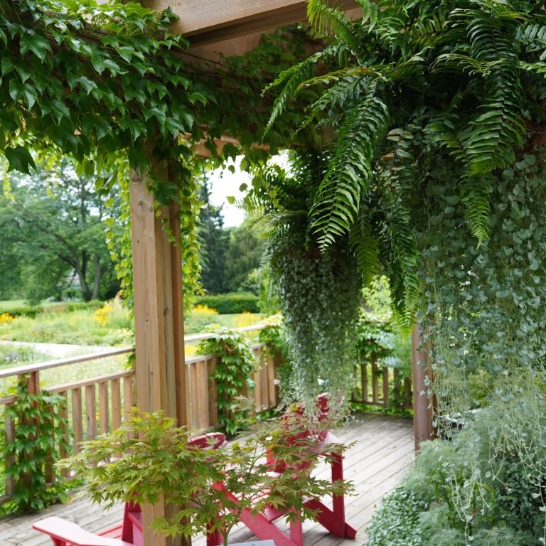 hanging ferns and voluminous foliage decorating Laking Garden's belvedere