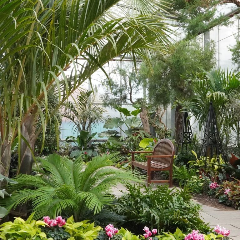 A lush indoor Mediterranean garden with a variety of tropical and subtropical plants, including tall palms, ferns, and vibrant flowering plants. A wooden bench sits in the middle of a stone path, inviting visitors to rest and enjoy the green, tranquil atmosphere. The glass walls and ceiling let in natural light, illuminating the rich foliage and colorful flowers throughout the garden.