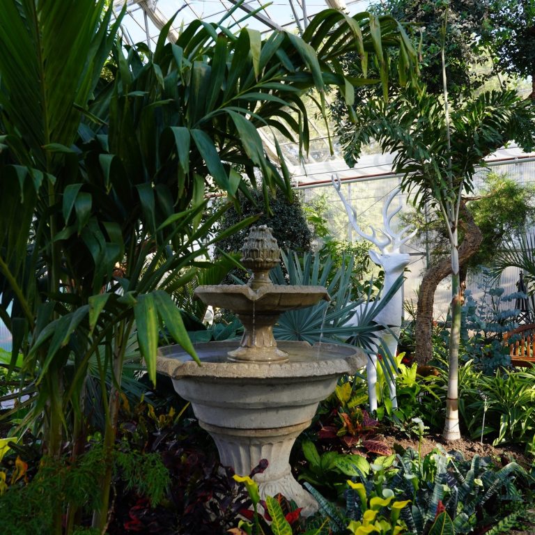 A vibrant indoor garden scene featuring a stone fountain surrounded by lush tropical plants. Bright yellow calla lilies, colorful croton leaves, and various green foliage add bursts of color. A white deer sculpture is visible in the background, under a glass greenhouse ceiling.