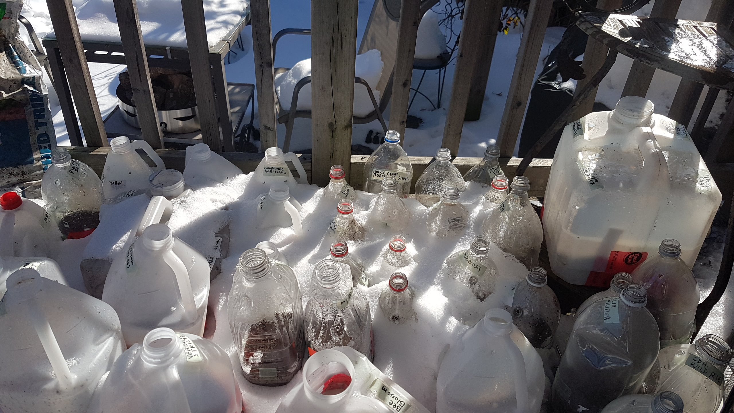 jugs-all-done-Jan-29-22 (1) jugs outside with light snow