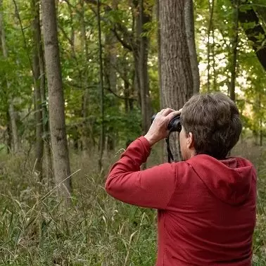 Person using binoculars to birdwatch in the forest