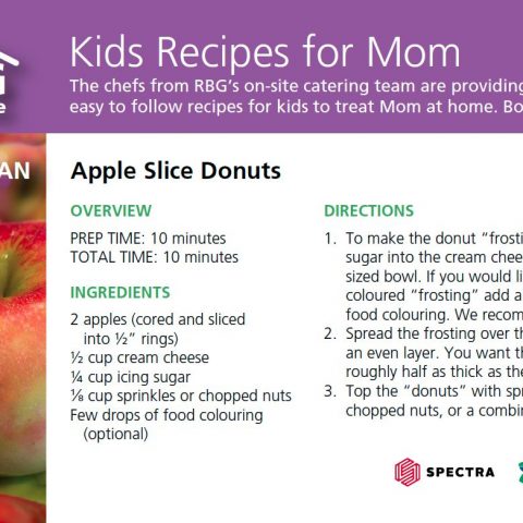 Apple Slice Donuts recipe
