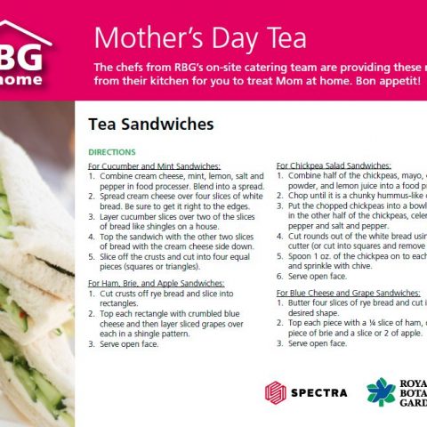 Tea Sandwiches Recipe