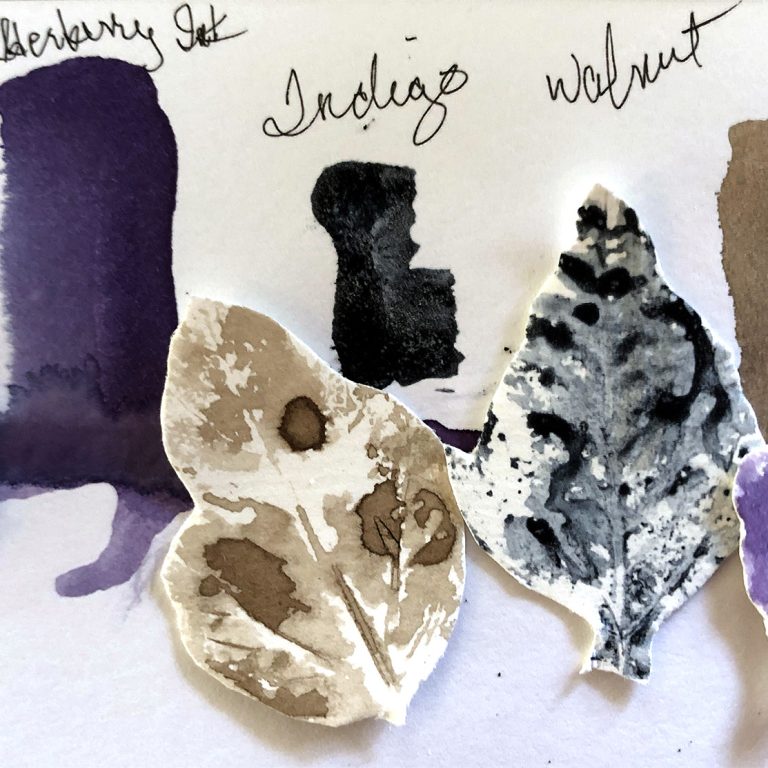 Page with painted swatches made from natural dyes, including leaf shapes painted with the pigments