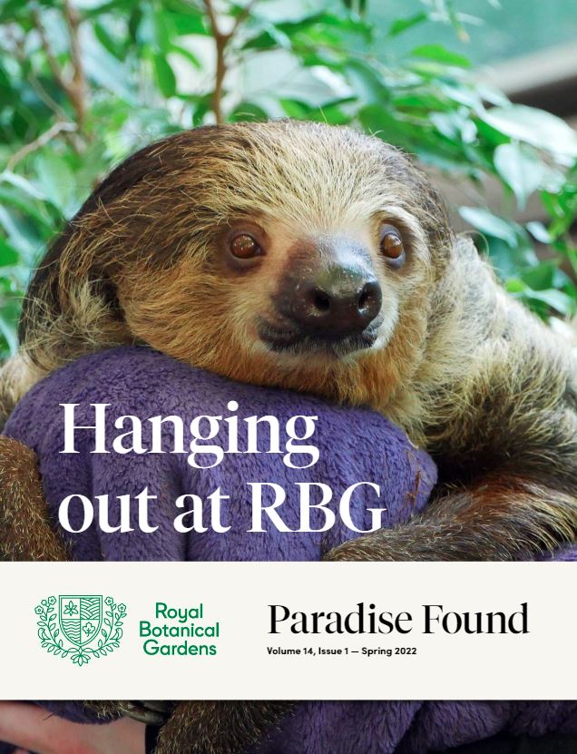 two toed sloth on the cover of paradise found magazine