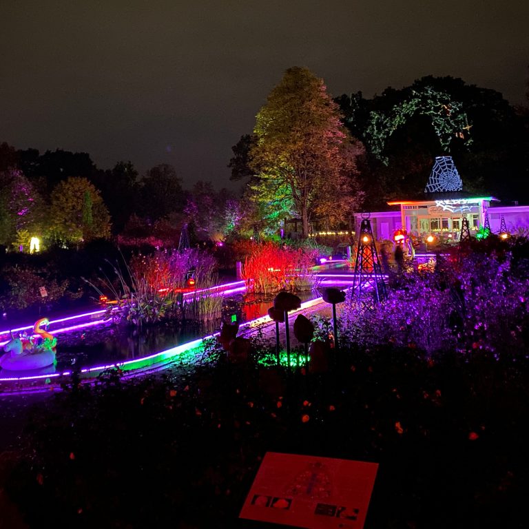 Rose garden in hendrie park lit up for the Great Pumpkin Trail