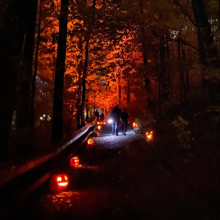 jack o lanterns on a nature trail, lit up for the evening