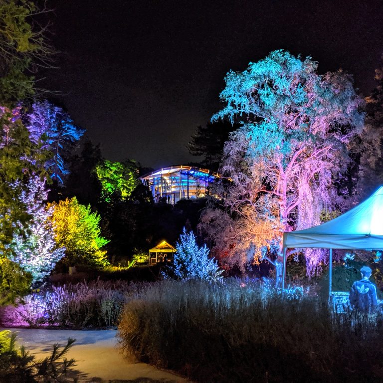 View of rock garden from the lower bowl at night, all lit in pastel colours