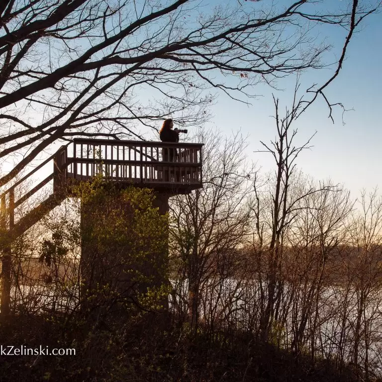 Tower lookout over Cootes Paradise
