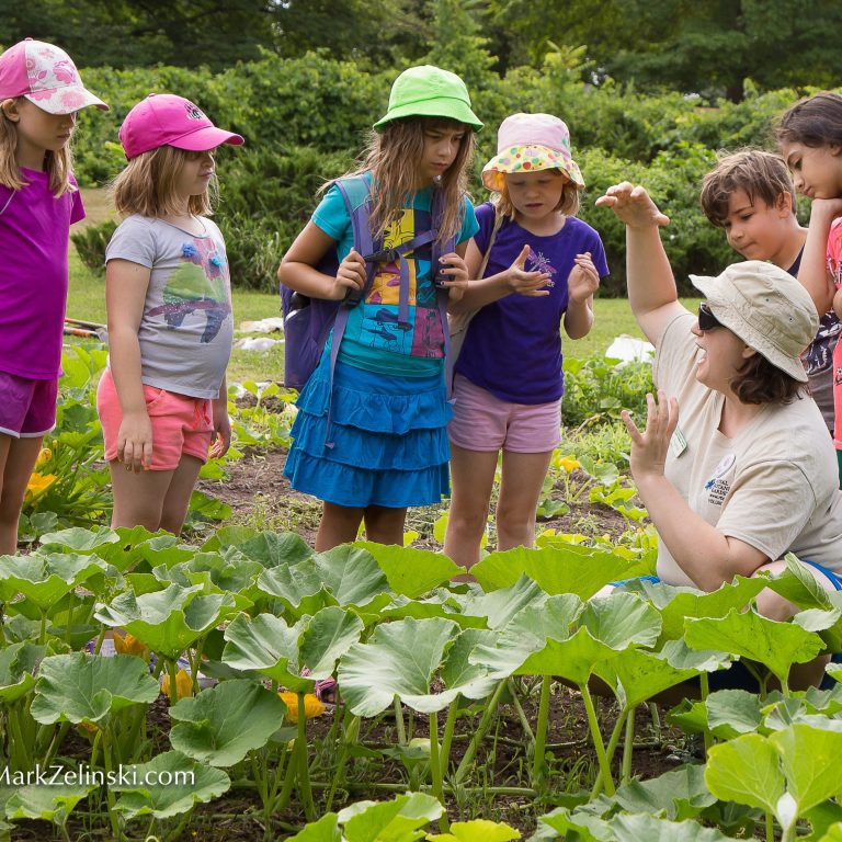 Group of young children standing in a vegetable garden learning about plants