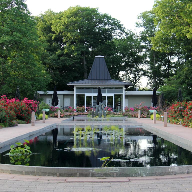reflecting pond at the centre of the Rose Garden