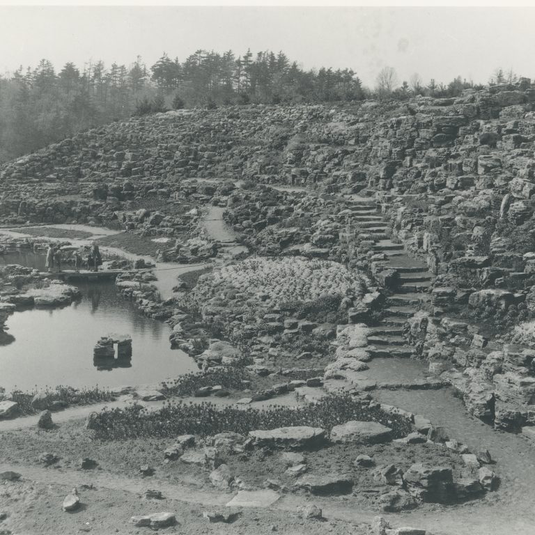 Archival photo of rock garden early after construction, with very little plant growth