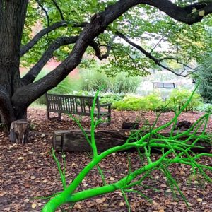 Anamazon (Limb), Pamela Rosenkranz, 2021 bright green tree branch floating above the ground