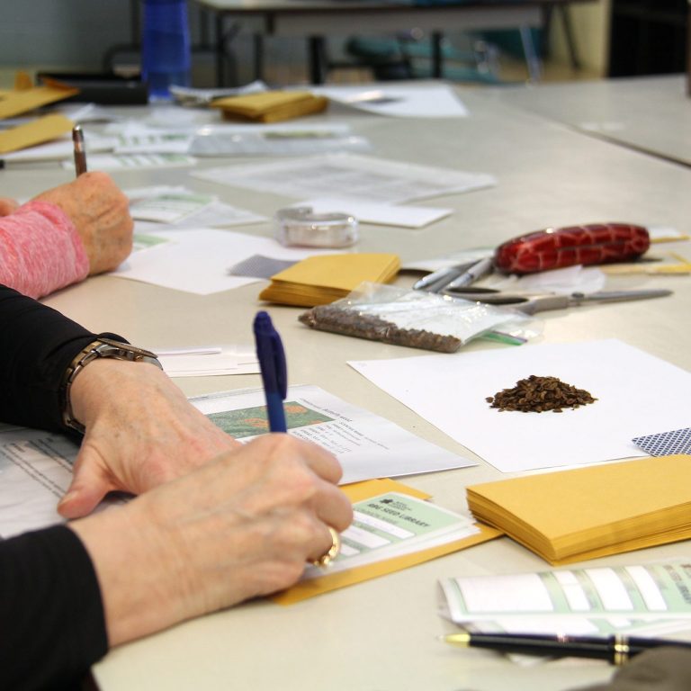 Volunteers sorting and labelling seeds into envelopes