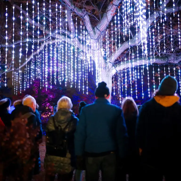 group of visitors at Winter Wonders in front of the Singing Tree