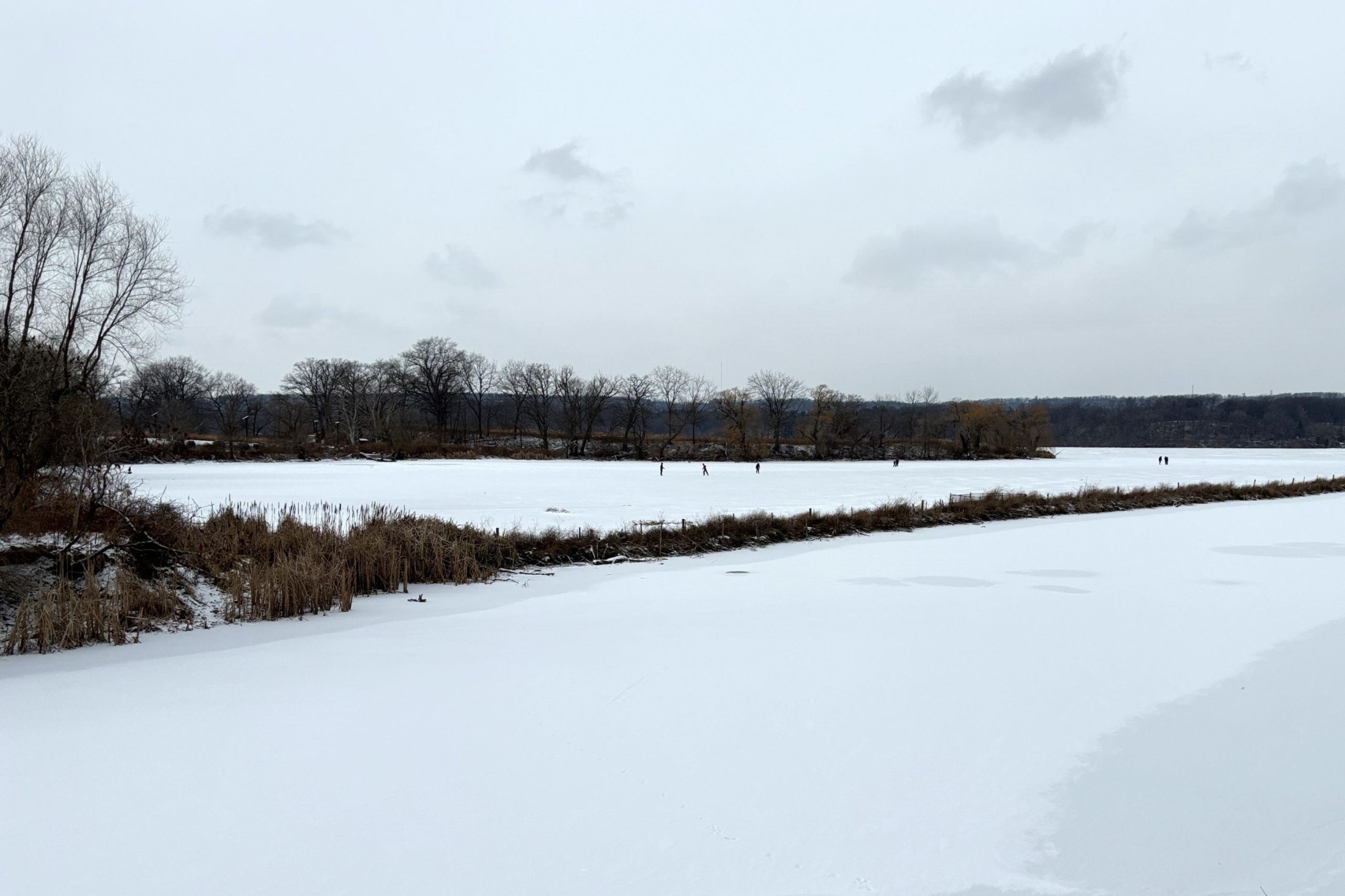 people skating at Princess Point