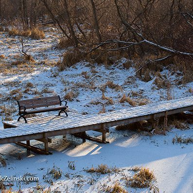 Snow Covered Bench On Boardwalk