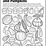 squashes and pumpkins activity Squashes and Pumpkins activity