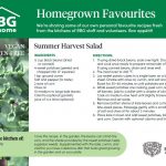 summer-harvest-salad Summer Harvest Salad Recipe