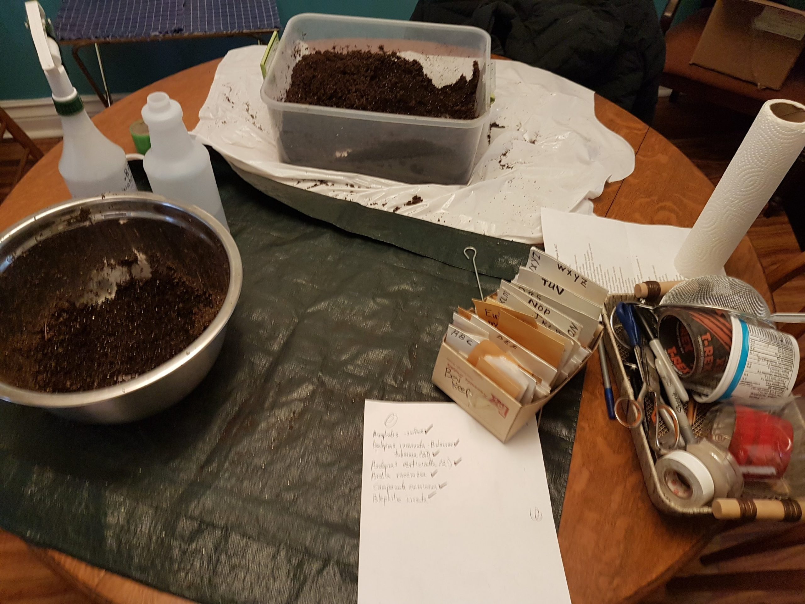 soil supplies Soil container and supplies laid out on a table