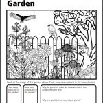 this or that garden activity This or That Garden activity sheet