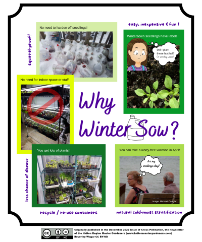 "Why Winter Sow" infographic