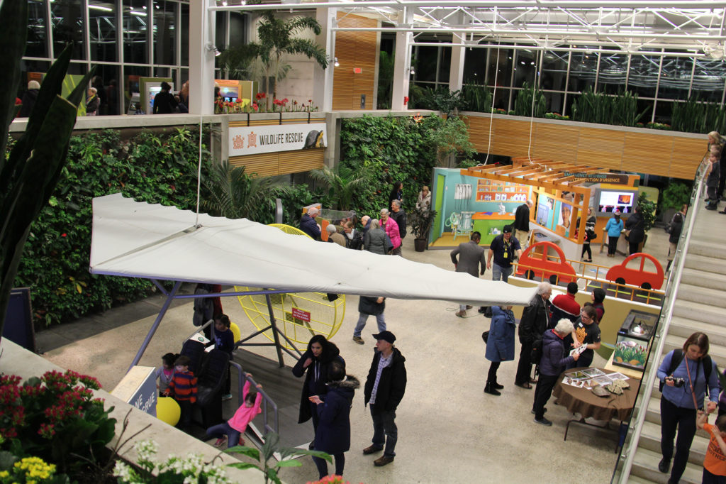 Winter Exhibit Wildlife Rescue Setup In Atrium
