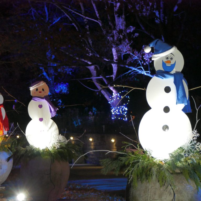 Snowmen cutouts in planters